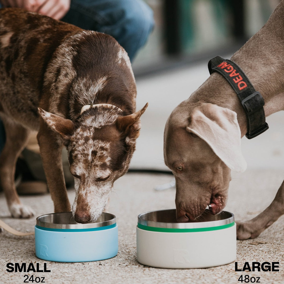 3-In-1 Dog Bowl image 14