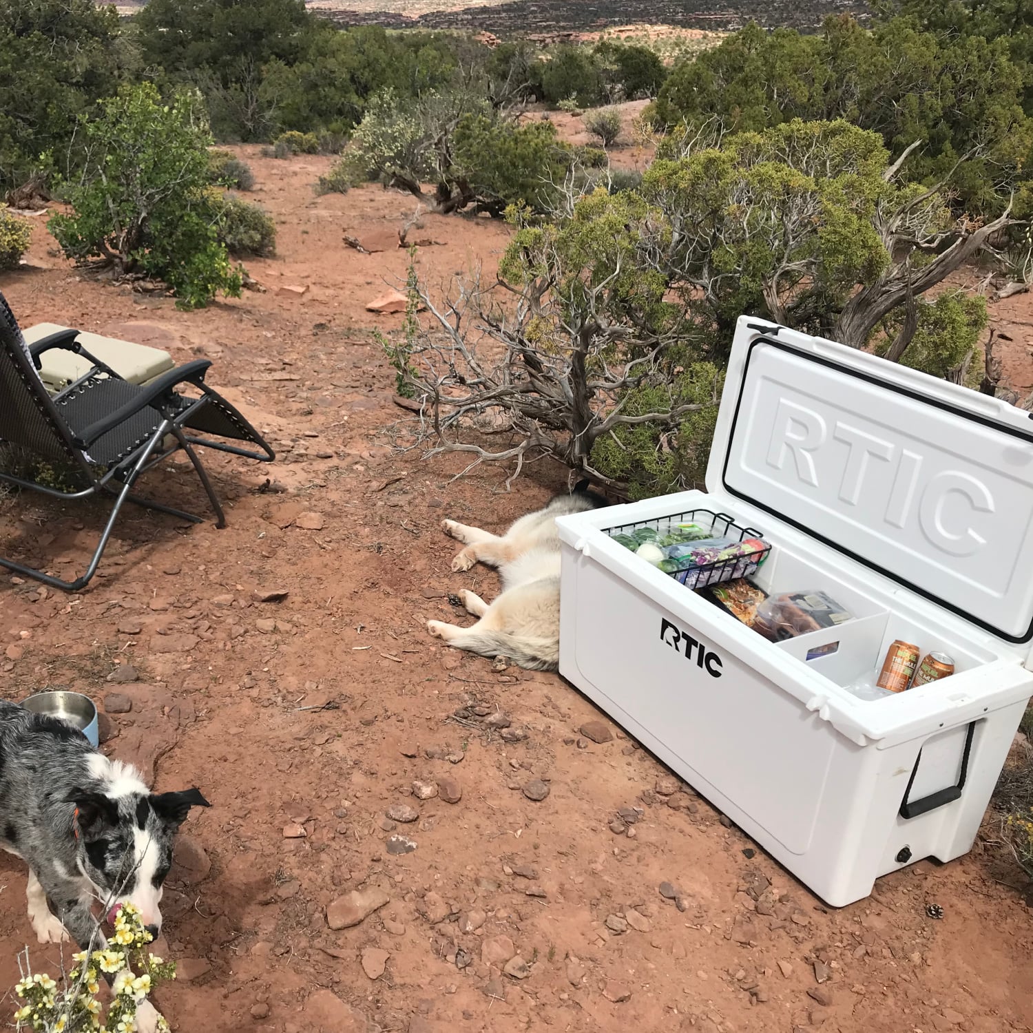 145 QT Ultra-Tough Cooler image 11